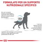 Illustrazione sull'intolleranza alimentare nei cani.