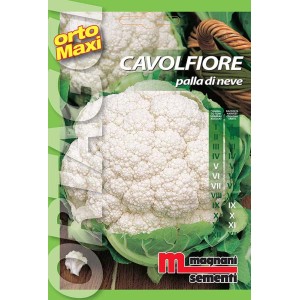 Confezione di semi di cavolfiore "Palla di Neve" per l'orto.