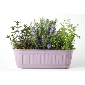 Fioriera da esterno lilla piantata con erbe aromatiche.