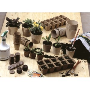 Vasi di semina quadrati (6x6 cm, 24 pz.) con piante, terra e accessori per la propagazione delle piante.