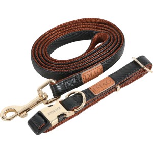 Set guinzaglio e collare per cani t.b.t., nero/marrone.