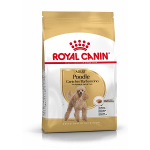 Royal Canin Adult Poodle cibo secco per cani, alimento per barboncini