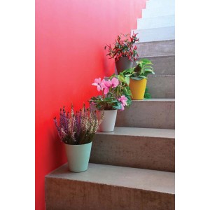 Diverse piante in vasi colorati su scale contro un muro rosso.