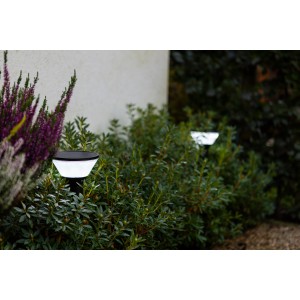 Lutec Karlo lampada solare da giardino, 45 cm, nera, con LED, in giardino tra le piante.