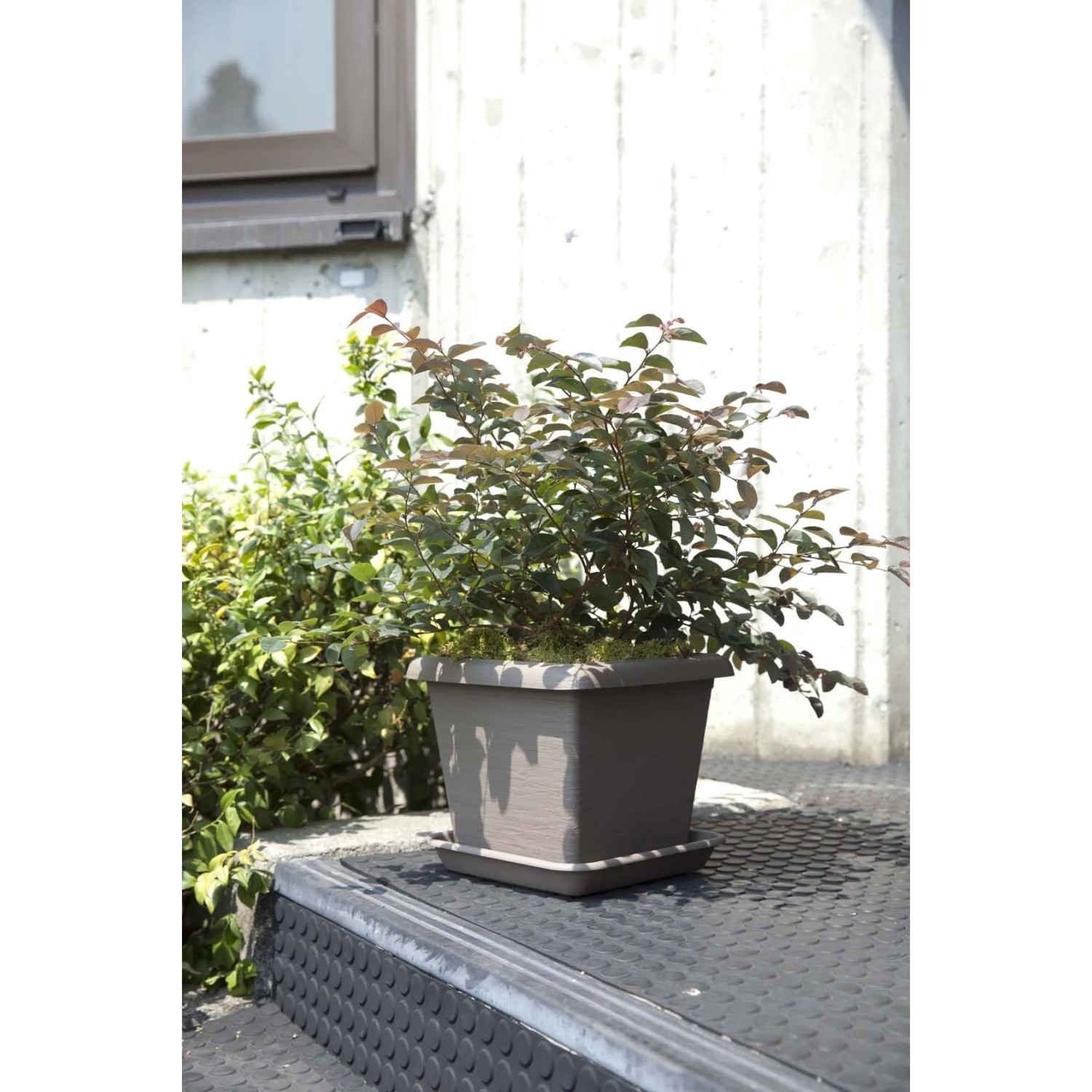 Vaso quadro Terrae 30 cm grigio fumo_2