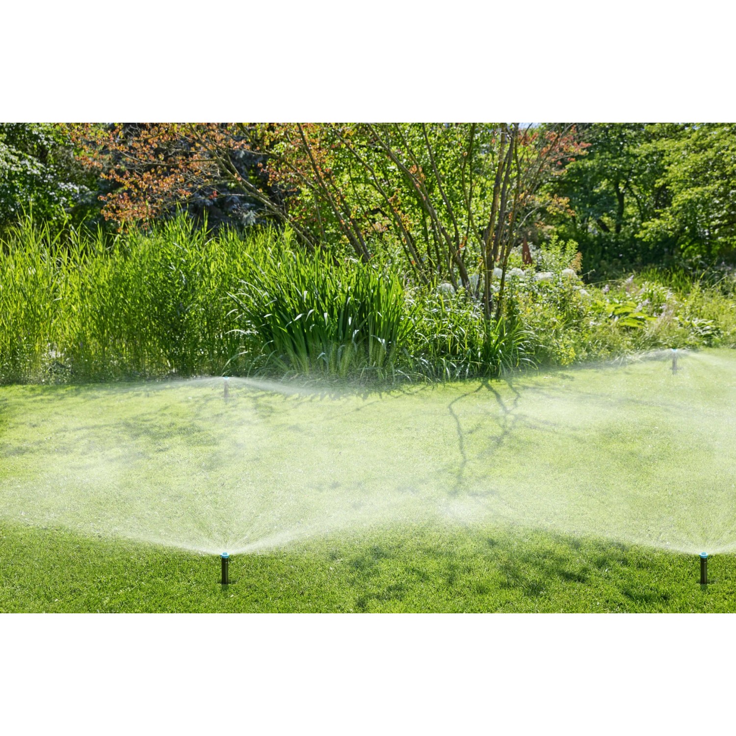 Irrigatore a scomparsa Gardena SD30 in azione: irrigazione automatica del prato in giardino.