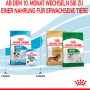 Royal Canin Mini Puppy cibo secco per cuccioli di piccola taglia, confezione da 800g.