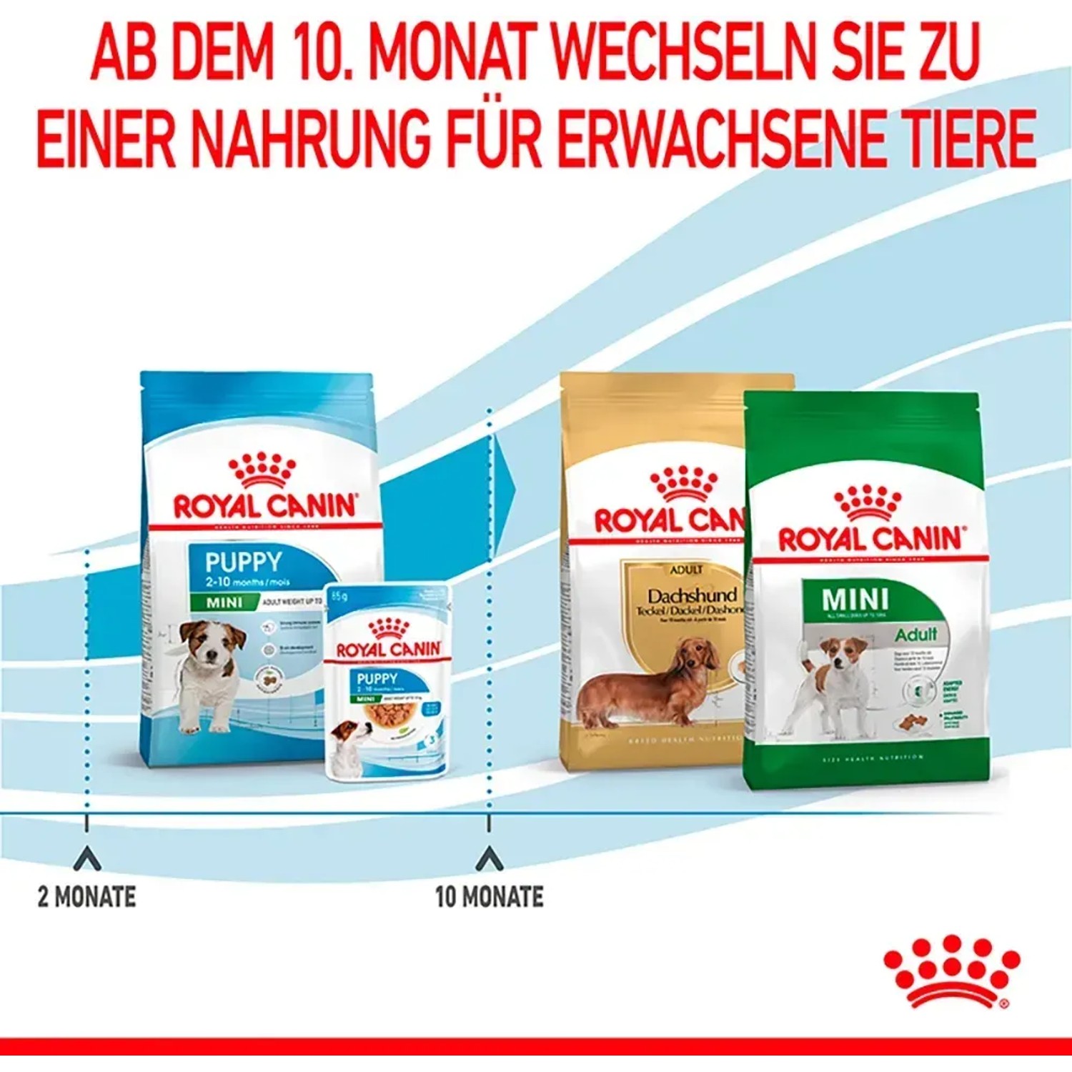 Royal Canin Mini Puppy cibo secco per cuccioli di piccola taglia, confezione da 800g.