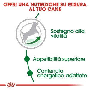 Grafica su vitalità, appetibilità e contenuto energetico del cibo secco per cani t.b.t.