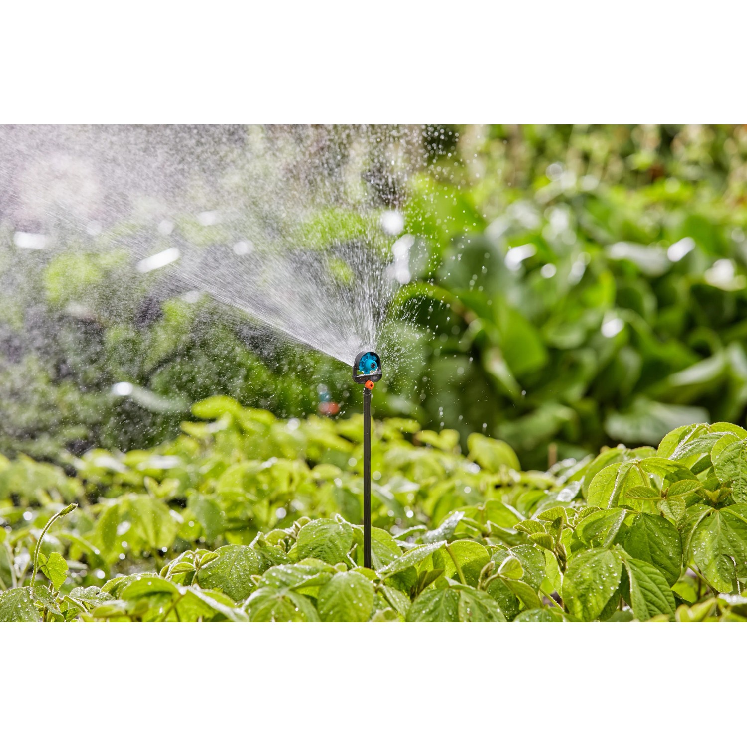 Tubo di prolunga Gardena 20 cm per ugelli a spruzzo in uso, irrigazione Micro-Drip in giardino.