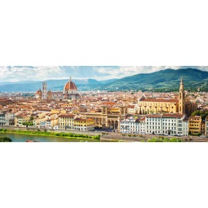 Decorazione parete: Panorama di Firenze con Duomo e Arno.