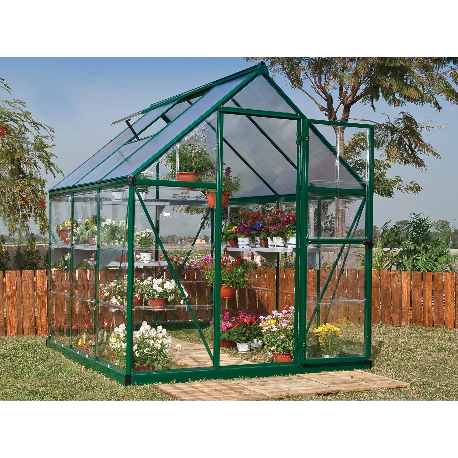 Serra verde Palram Canopia Hybrid 1.9x1.9 con pannelli laterali trasparenti e piante.