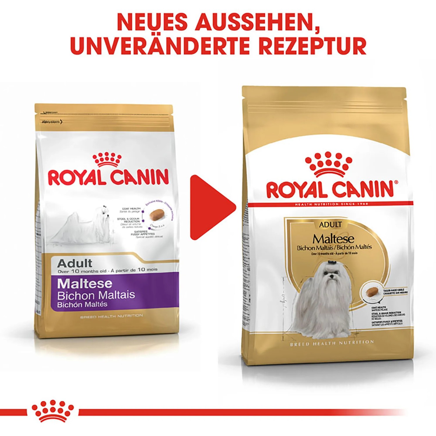 Royal Canin Maltese Adult, alimento secco per cani Maltesi da 10+ mesi, 1.5kg.