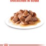 Royal Canin Hair & Skin Care cibo umido per gatti, pezzetti in salsa su un piatto.