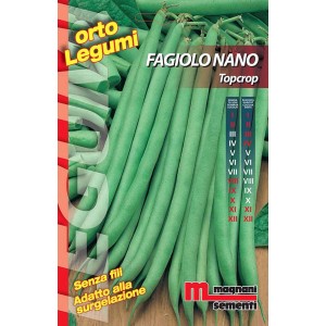 Confezione di semi di fagiolo nano Topcrop, ideale per la coltivazione di ortaggi in giardino.