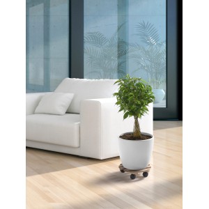 Rotelle per piante in faggio rotondo (Ø 30 cm) con pianta in vaso bianco su pavimento in legno chiaro.