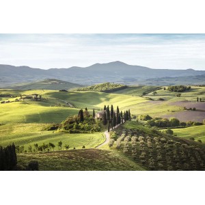 Paesaggio toscano con viale di cipressi e dolci colline. Quadri per decorazione murale.