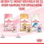 Royal Canin cibo per gatti: alimento umido e secco per gattini per diverse fasi della vita.