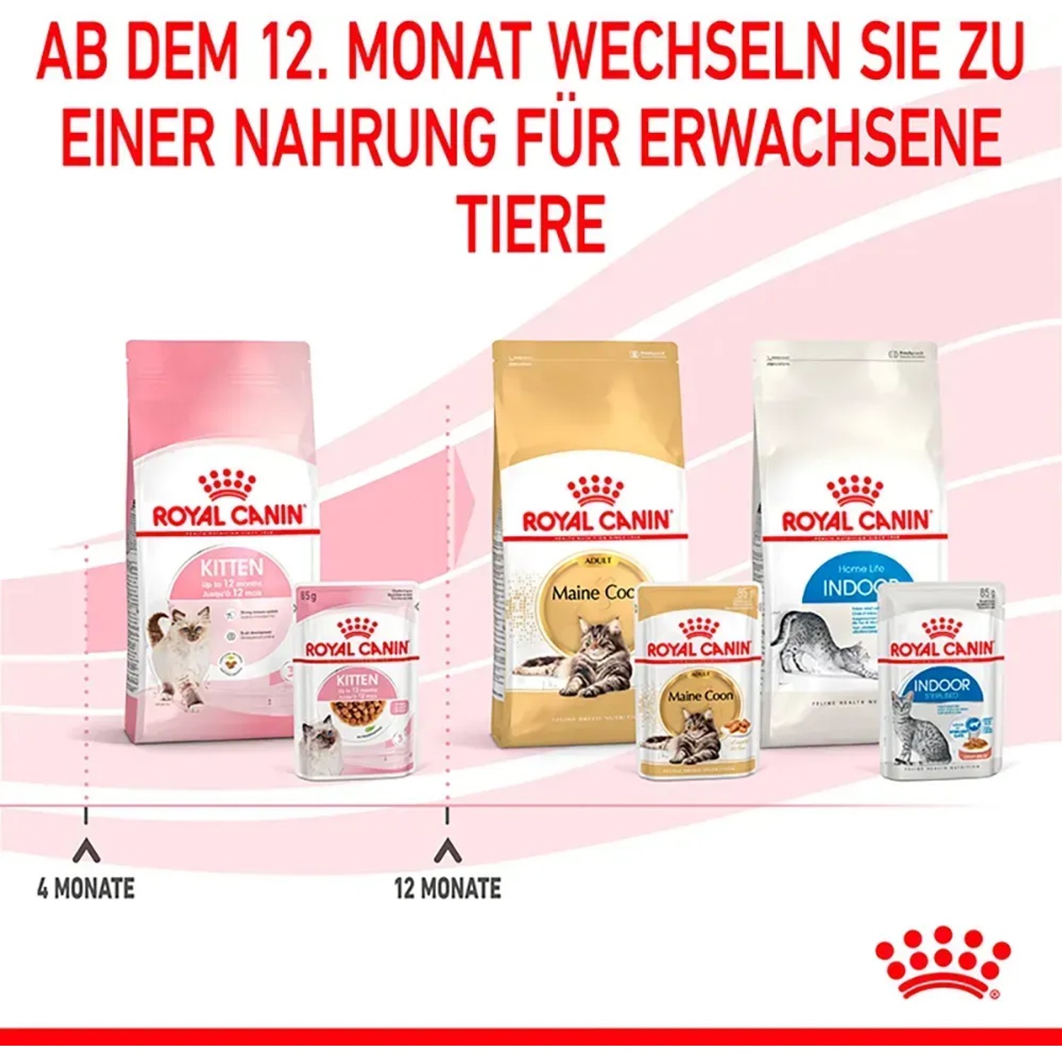 Royal Canin cibo per gatti: alimento umido e secco per gattini per diverse fasi della vita.