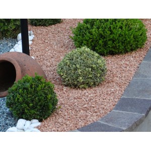 Giardino con ghiaia decorativa t.b.t., cespugli e anfora in terracotta.