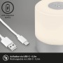 Lampada da tavolo a batteria Brilo Smal, cromo opaco, con cavo USB. Luce decorativa mobile per interni ed esterni.