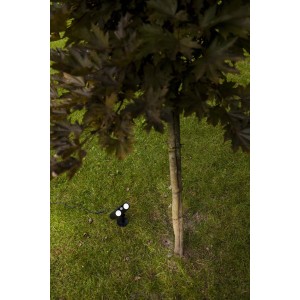 t.b.t. luce da esterno vicino a un albero, vista dall'alto sul prato.