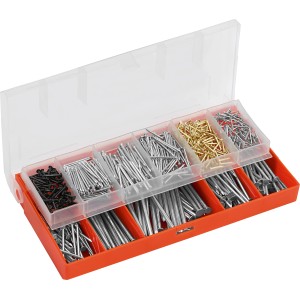 Assortimento di chiodi (680g) in scatola arancione con coperchio trasparente. Vari tipi e dimensioni di chiodi.