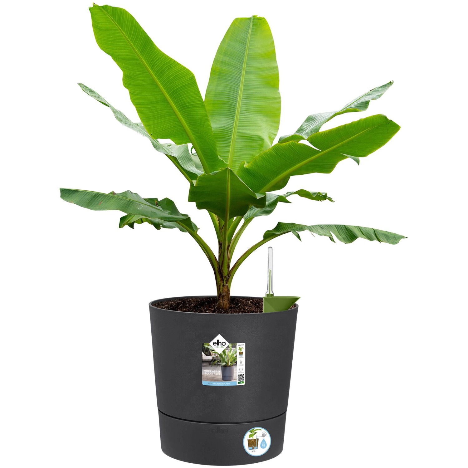 Vaso per piante rotondo Elho Greensense, 35 cm, grigio antracite, con pianta e indicatore del livello dell'acqua.