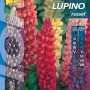 Confezione di semi di lupino 'Russel', multicolore. Semi di fiori per aiuole colorate.
