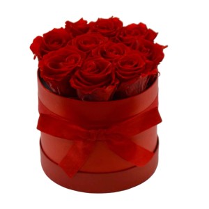 Rose Altre rosse in confezione regalo rossa con nastro.