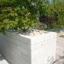Bordura/copertura in pietra beige con piccolo albero piantato.