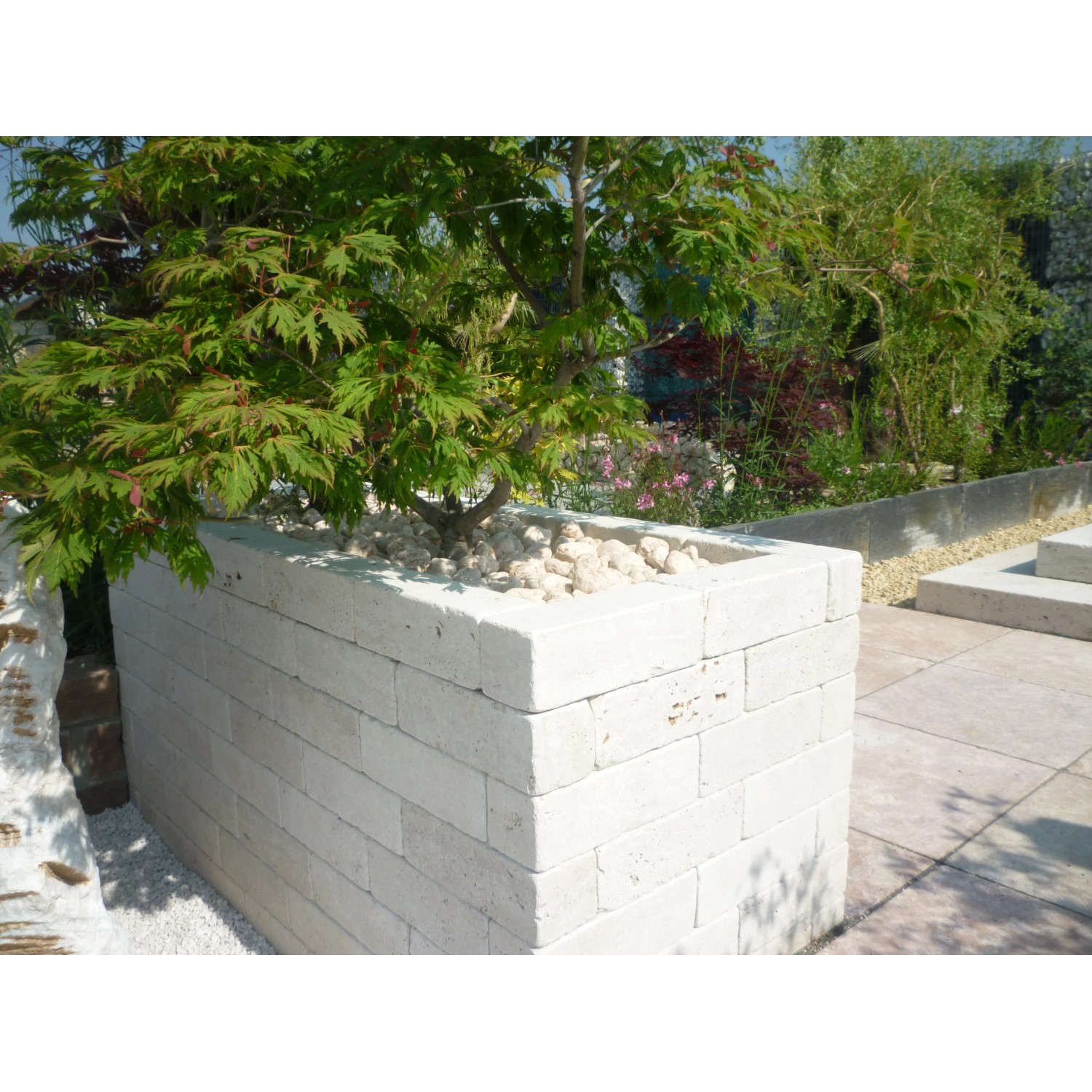 Bordura/copertura in pietra beige con piccolo albero piantato.