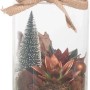 Vaso in vetro con scena invernale in miniatura: abete, succulenta, muschio e nastro.