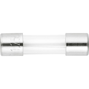 Fusibile ritardato 1,25 A, confezione da 2, con tubo di vetro e terminali argentati.