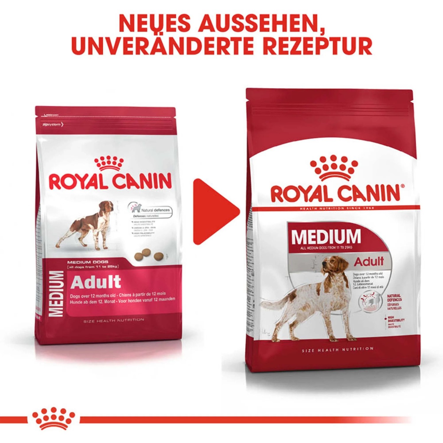 Royal Canin Medium Adult cibo secco per cani, confezione da 4 kg nel nuovo design.