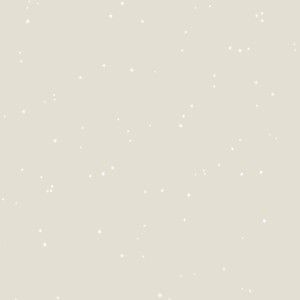 Pittura decorativa t.b.t.: Base beige con sottili punti glitter bianchi.