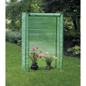 Piccola serra t.b.t. verde con due piante in giardino.