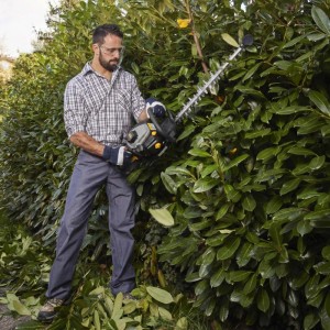 Tagliasiepi a scoppio Alpina AHT 555 22,5 cc