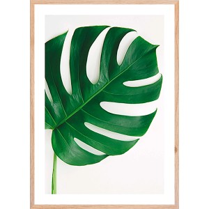 Quadro: Foglia di Monstera in cornice di legno. Arte decorativa da parete.