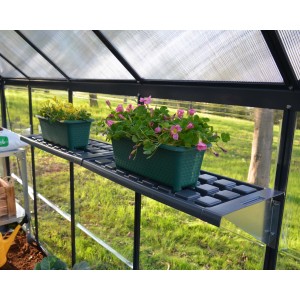 Set di mensole sospese Palram per serre con due ripiani, fornito di piante.