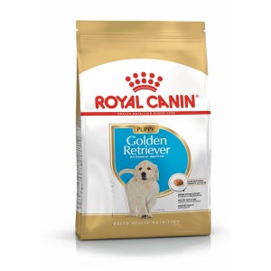 Royal Canin cibo secco per cuccioli Golden Retriever.