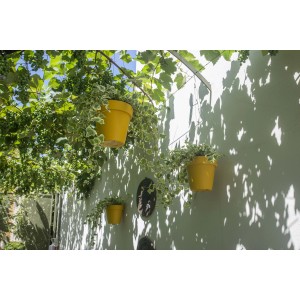 Vasi sospesi gialli con edera su una parete. Decorazione murale con piante.
