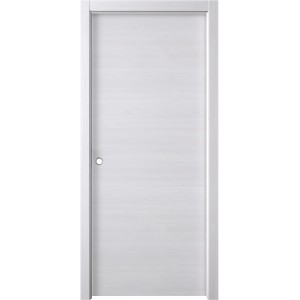 Porta interna bianca con superficie liscia e design semplice.