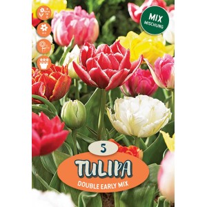 Bulbi di tulipano, varietà doppie precoci, mix di diversi colori.