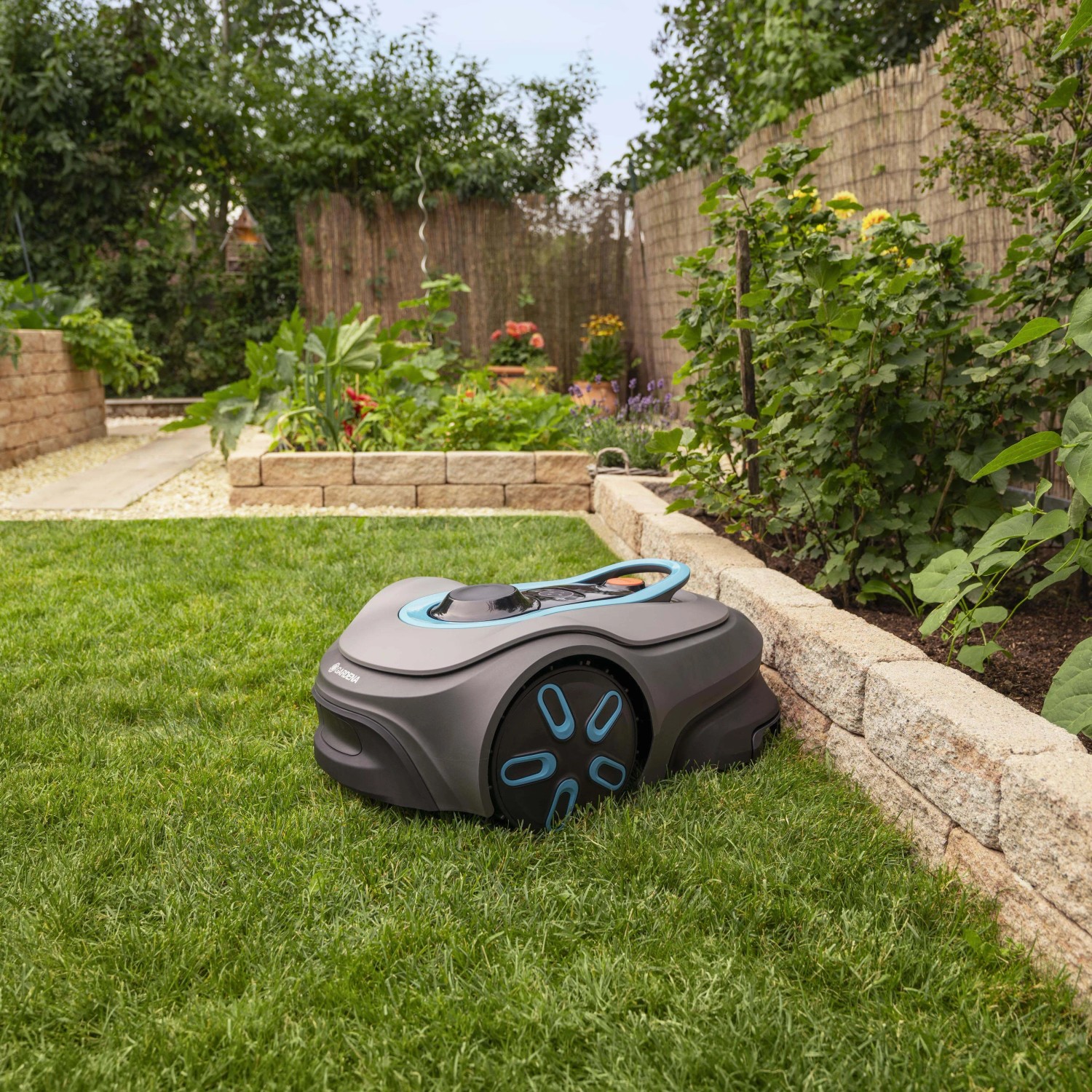 Robot tagliaerba t.b.t. grigio con dettagli blu su prato in giardino.