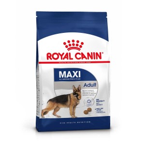 Royal Canin Maxi Adult cibo secco per cani di taglia grande, con un pastore tedesco.