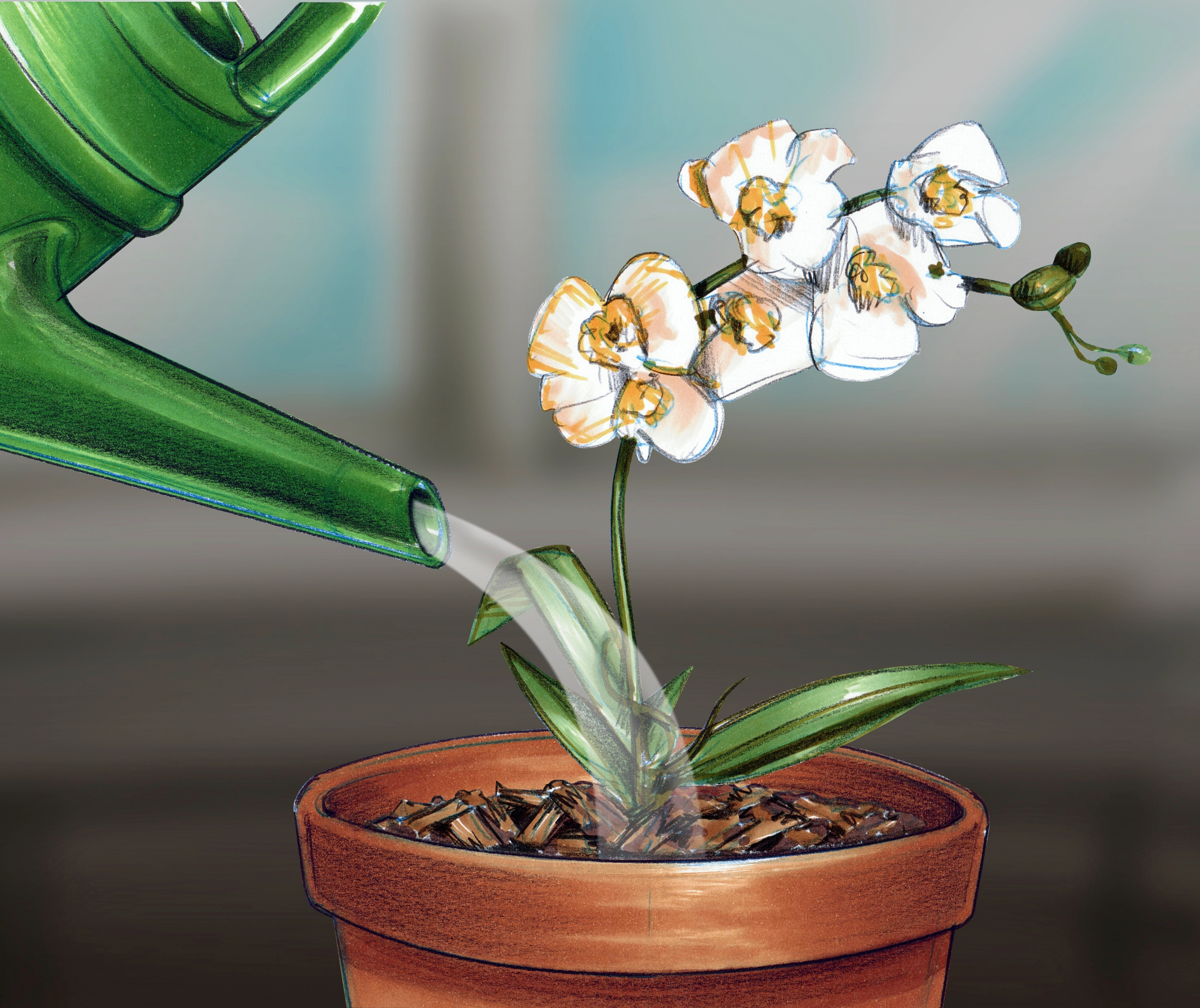 Concime OBI per orchidee 250 ml