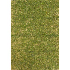 Primo piano di un tappeto di muschio per una scena del presepe.