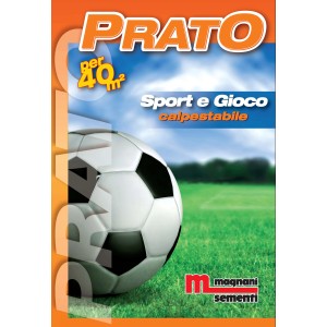 Confezione di semi per prato resistente per sport e gioco. Pallone da calcio in primo piano.