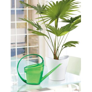 Annaffiatoio verde Scheurich Loop 1.4 l accanto a pianta d'appartamento in vaso bianco.